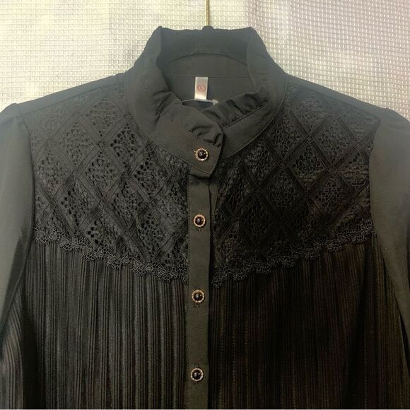 Black Victorian Style Semi Sheer Lace Pleated Blouse - Picture 4 of 12